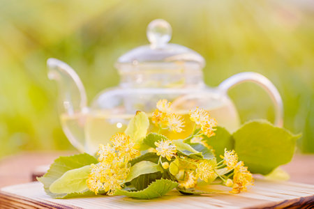 closeup of flower linden tea mug. fresh and fragrant aroma of the tea and flower adds to wholesome and healthful feelingの写真素材
