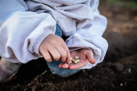 Young gardener in overalls, preparing soil and planting legumes for healthy, ecological eatingの写真素材