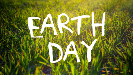 Earth day concept Young wheat seedlings growing on field in black soil. Spring green wheat grows in...