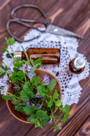 Glechoma hederacea, ground-ivy, gill-over-the-ground, creeping charlie, alehoof, tunhoof, catsfoot, field balm, and run-away-robin, creeping jenny. Cosmetic bottle of oil for body care.の写真素材