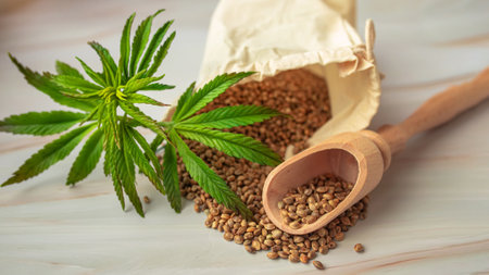 marijuana seeds in Scoops and tiny leaf, ingredients for vegan supplements, CBD products. The concept of growing cannabis for medical and cosmetic purposes. marijuana in the food industry.の写真素材