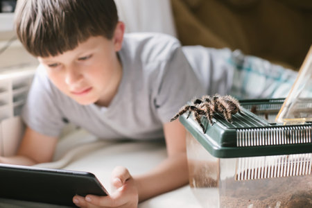 Tarantula escaped from terrarium. child plays on tablet next to pet. boy is looking for information about care of spiders Brachypelma albopilosum at home.の写真素材