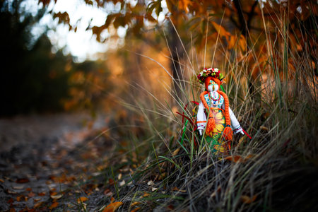 Ukrainian rag doll near the autumn road in the forest. War in Ukraineの写真素材
