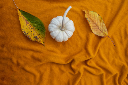 White pumpkins and yellow foliage on a textile autumn background. Space for text.の写真素材