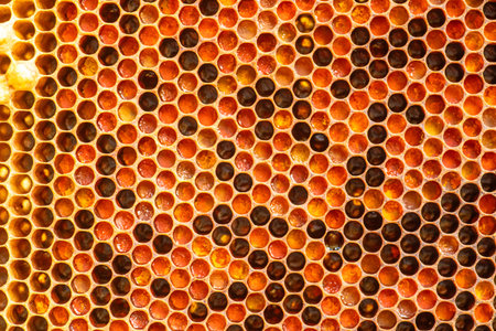 Abstract hexagon structure is honeycomb from bee hive filled with golden honey. Honeycomb summer...