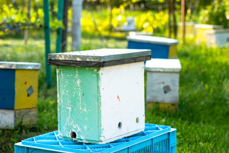 miniature hives positioned for the seasonal breeding of bee colonies in the garden. Nucleus hives...