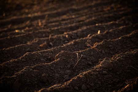 Freshly plowed soil at sunset, ready for planting. Warm, earthy hues blend with the evening sky, evoking renewal, growth, and seasonal transitions.の写真素材