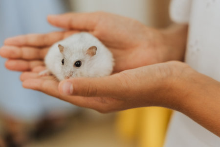 A joyful child shows tender care as she plays with her white hamster in a warm, cozy setting.の写真素材