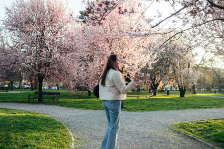 A woman walks through a park surrounded by blooming cherry blossom trees, admiring the vibrant pink flowers on a spring evening. Sunlight filters through the branches.の写真素材