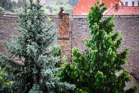 Wet afternoon in Croatian old townの写真素材
