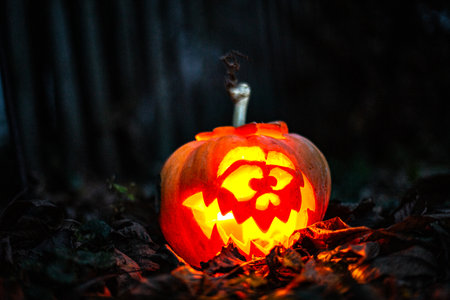 Scary carved pumpkin lantern glowing in a foggy night atmosphere.の写真素材