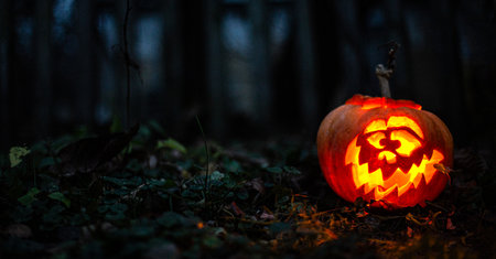 A jack-o-lantern with creepy teeth shining in the misty background.の写真素材