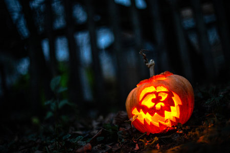 Scary carved pumpkin lantern glowing in a foggy night atmosphere.の写真素材