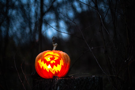 Halloween lantern pumpkin glowing in shadows, perfect for spooky backgrounds.の写真素材