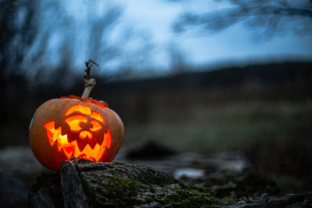 Eerie glowing pumpkin face lighting up a haunted autumn night.の写真素材
