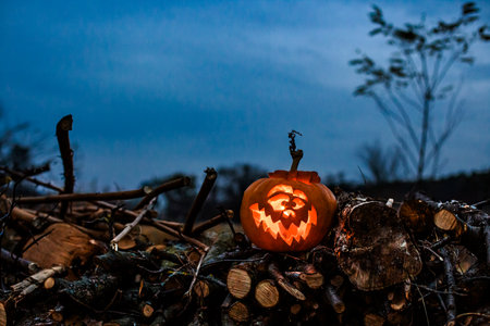 Spooky carved pumpkin lantern glowing in a mysterious atmosphere.の写真素材