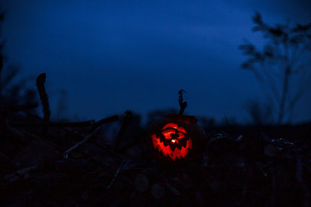 Halloween lantern pumpkin glowing in shadows, perfect for spooky backgrounds.の写真素材
