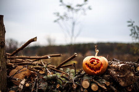 Glowing pumpkin with sinister face illuminating the darkness of Halloween night.の写真素材