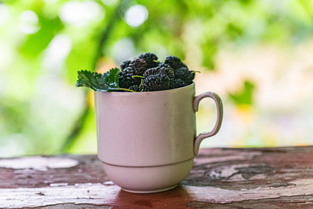 Ripe black mulberries sit in a cup on a wooden table. The bright green background shows greenery in a garden during May.の写真素材
