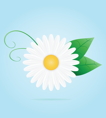 Chamomile flower. Vector illustrationのイラスト素材