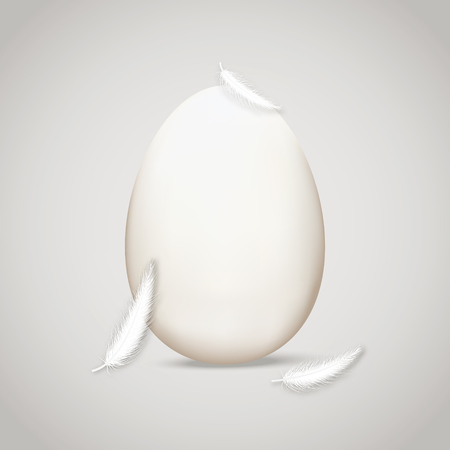 Egg in feathers. Vector illustration, eps 10のイラスト素材