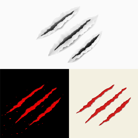 Set of claw scratches. Vector illustration, eps10のイラスト素材