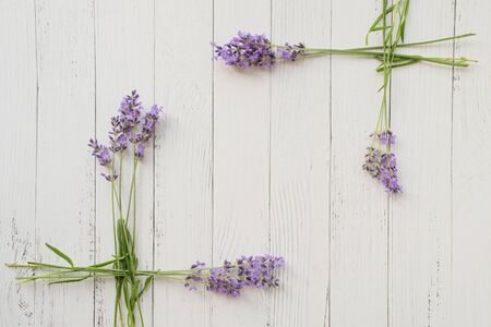 Frame of fresh summer flowers on white wooden background. Composition of violet lavender. Free space. Top viewの写真素材