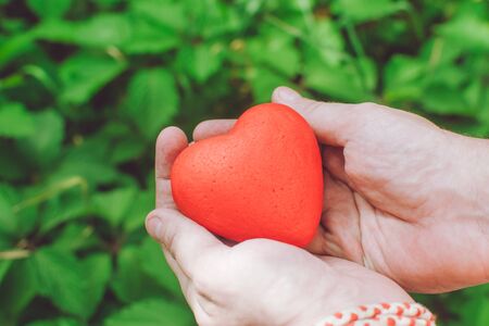 people, relationship and love concept - close up of mans hands holding red heart on green backgroundの写真素材