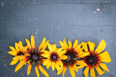 Frame of Garden yellow flowers on old blue wooden table background. Backdrop with copy spaceの写真素材