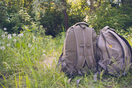 Two touristic backpacks on the green grass. Concept of travel and active lifestyle