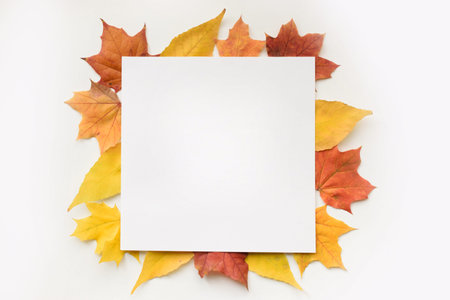 Autumn composition of frame of maple leaves and physalis. Flat lay, top view