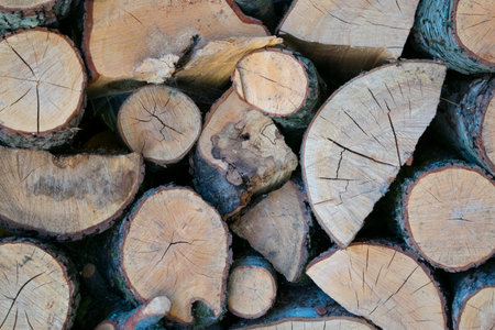 Close-up of stacked and prepared of chopped firewood. Firewood background texture