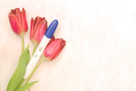 A positive pregnancy test with red tulips on pink background. Copyspace. Top view.の写真素材