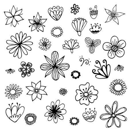 Set of Hand drawn line sketch, vector doodle floral collection.のイラスト素材