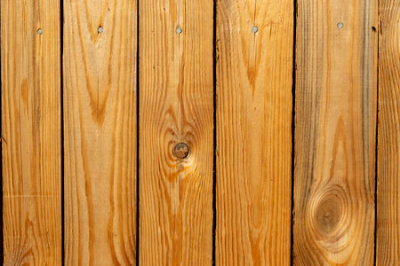Old wooden background of boards Wooden texture.