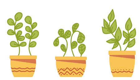 Set of simple Vector houseplants and flowers in pots. Vector flat illustrationのイラスト素材