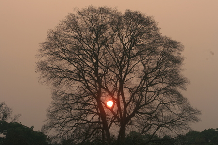 Sunsetの写真素材