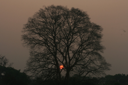 Sunsetの写真素材