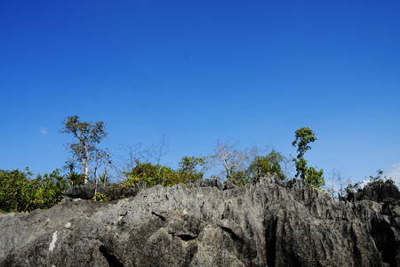 A clear blue sky day.の写真素材