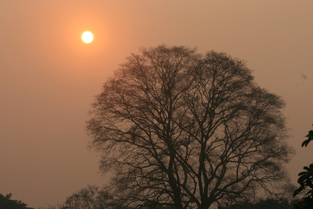 Sunsetの写真素材