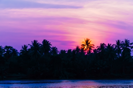 sunset at silhouette coconut tree with beautiful twilight  along the riverの写真素材