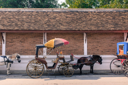 traditional carriage lampang city north of thailand with terracotta brick wall roof and green tree...