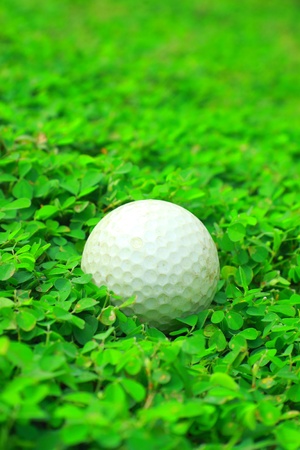 Golf ballの写真素材