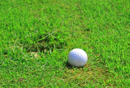 Golf ball on green grass and holeの写真素材