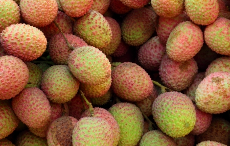 Lychee fruit の写真素材