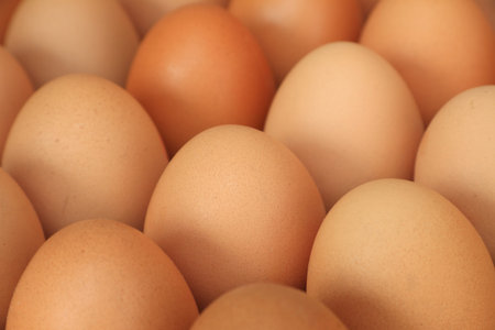Close up of chicken eggs