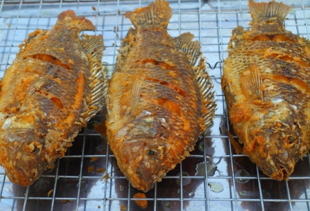 Fried tilapia fish の写真素材
