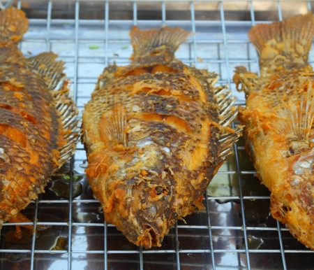Fried tilapia fish の写真素材