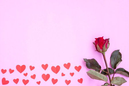 Red heart papercut and red rose on pink backgroundの写真素材
