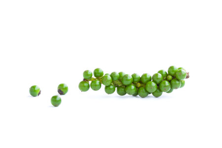 Fresh green pepper isolated on white background. Peppercorns on white backgroundの写真素材